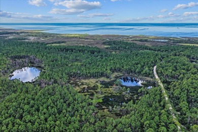 This expansive 81.58-acre property offers a unique blend of - photo 17