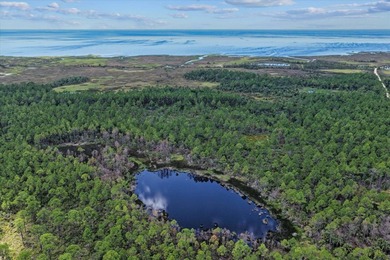This expansive 81.58-acre property offers a unique blend of - photo 18