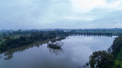 (private lake, pond, coastal) Commercial Sale Pending in Out of Country Georgia