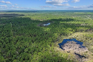 This expansive 81.58-acre property offers a unique blend of - photo 21