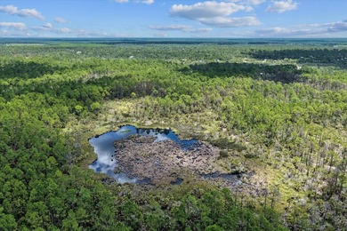 This expansive 81.58-acre property offers a unique blend of - photo 23