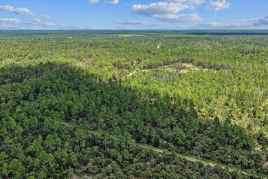 This expansive 81.58-acre property offers a unique blend of - photo 25