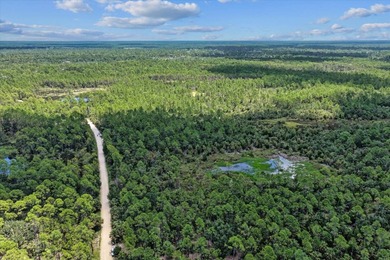 This expansive 81.58-acre property offers a unique blend of - photo 26