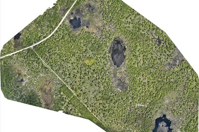 This expansive 81.58-acre property offers a unique blend of - photo 27