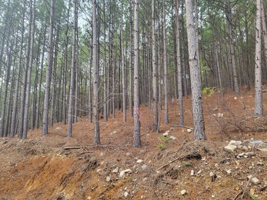 Little River Acreage For Sale in Honobia Oklahoma