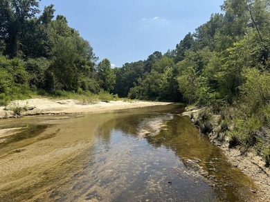 Nestled in the heart of South Mississippi, this 296-acre - photo 2