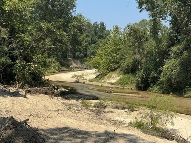 Nestled in the heart of South Mississippi, this 296-acre - photo 3