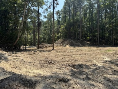 Nestled in the heart of South Mississippi, this 296-acre - photo 5