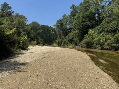 Nestled in the heart of South Mississippi, this 296-acre - photo 7