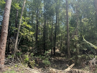 Nestled in the heart of South Mississippi, this 296-acre - photo 8