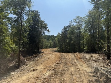 Nestled in the heart of South Mississippi, this 296-acre - photo 9