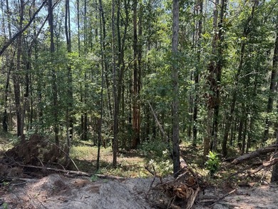 Nestled in the heart of South Mississippi, this 296-acre - photo 10