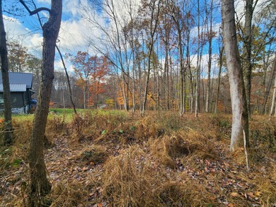 Lake Lot For Sale in Howard, Ohio