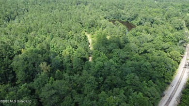 Discover the possibilities with this expansive 127.50+/- acre - photo 11