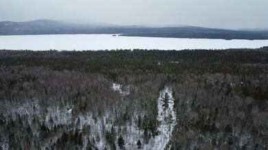Incredible 25.33 acre parcel overlooking Mooselookmeguntic Lake - photo 11