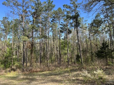 East Texas rural land for sale in Smith County. 74.586 acres of - photo 12