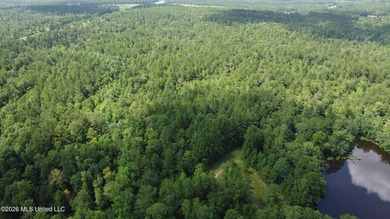 Discover the possibilities with this expansive 127.50+/- acre - photo 12