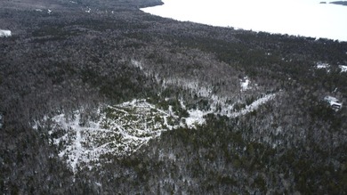 Incredible 25.33 acre parcel overlooking Mooselookmeguntic Lake - photo 12