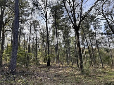 East Texas rural land for sale in Smith County. 74.586 acres of - photo 13