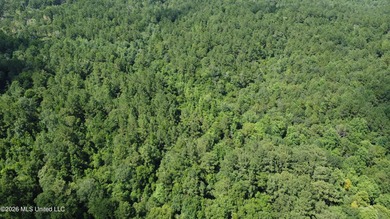Discover the possibilities with this expansive 127.50+/- acre - photo 13