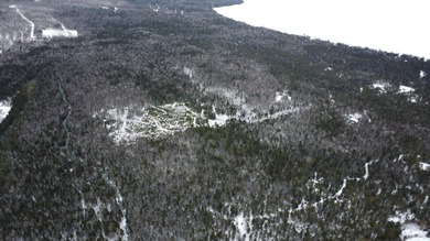 Incredible 25.33 acre parcel overlooking Mooselookmeguntic Lake - photo 13
