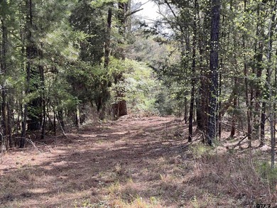 East Texas rural land for sale in Smith County. 74.586 acres of - photo 15