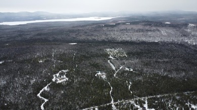 Incredible 25.33 acre parcel overlooking Mooselookmeguntic Lake - photo 15