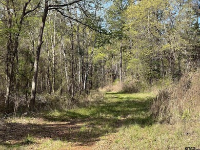 East Texas rural land for sale in Smith County. 74.586 acres of - photo 16
