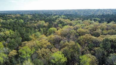 East Texas rural land for sale in Smith County. 74.586 acres of - photo 17