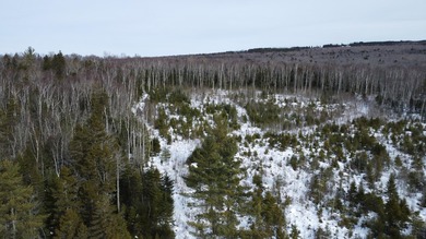 Incredible 25.33 acre parcel overlooking Mooselookmeguntic Lake - photo 17