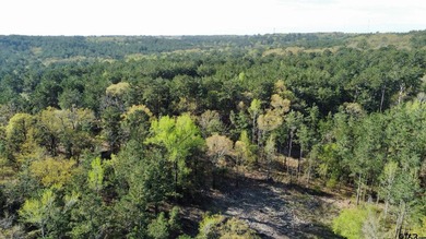 East Texas rural land for sale in Smith County. 74.586 acres of - photo 18
