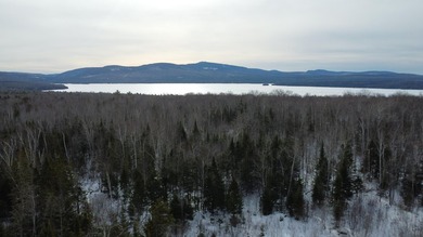 Incredible 25.33 acre parcel overlooking Mooselookmeguntic Lake - photo 18