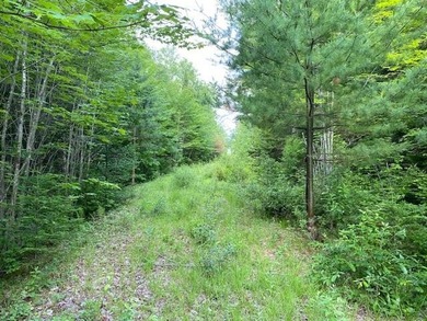 Incredible 25.33 acre parcel overlooking Mooselookmeguntic Lake - photo 19