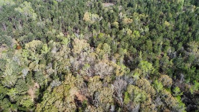 East Texas rural land for sale in Smith County. 74.586 acres of - photo 20