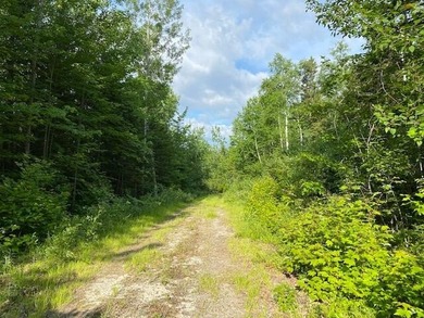 Incredible 25.33 acre parcel overlooking Mooselookmeguntic Lake - photo 20