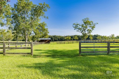 Welcome to this extraordinary 53+/- acre luxury equestrian - photo 22