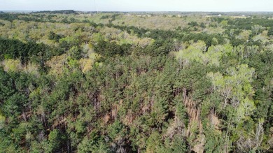 East Texas rural land for sale in Smith County. 74.586 acres of - photo 22