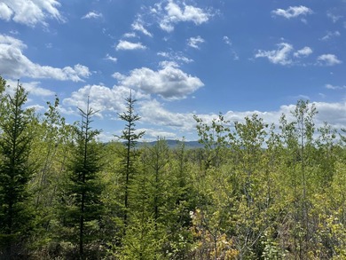 Incredible 25.33 acre parcel overlooking Mooselookmeguntic Lake - photo 22