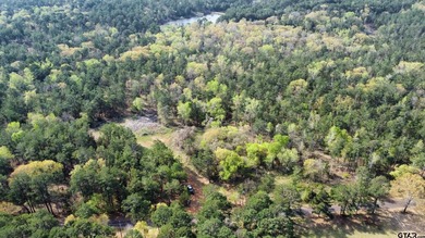 East Texas rural land for sale in Smith County. 74.586 acres of - photo 23