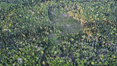 Incredible 25.33 acre parcel overlooking Mooselookmeguntic Lake - photo 23
