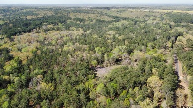 East Texas rural land for sale in Smith County. 74.586 acres of - photo 24