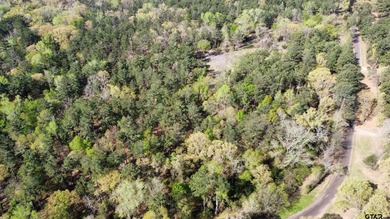 East Texas rural land for sale in Smith County. 74.586 acres of - photo 25