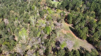 East Texas rural land for sale in Smith County. 74.586 acres of - photo 26