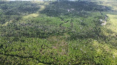 Incredible 25.33 acre parcel overlooking Mooselookmeguntic Lake - photo 26