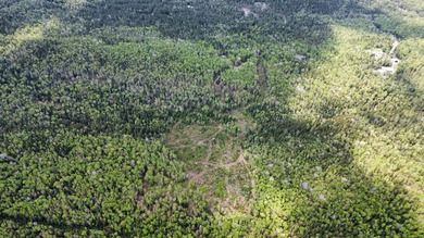 Incredible 25.33 acre parcel overlooking Mooselookmeguntic Lake - photo 27