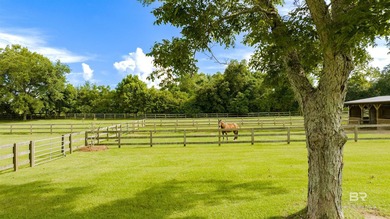 Welcome to this extraordinary 53+/- acre luxury equestrian - photo 28