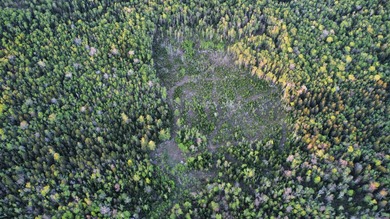 Incredible 25.33 acre parcel overlooking Mooselookmeguntic Lake - photo 30