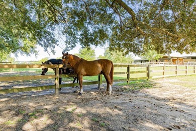 Welcome to this extraordinary 53+/- acre luxury equestrian - photo 35