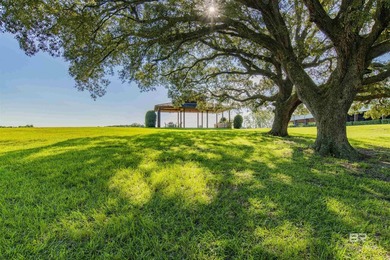 Welcome to this extraordinary 53+/- acre luxury equestrian - photo 39