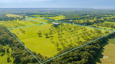 Welcome to this extraordinary 53+/- acre luxury equestrian - photo 41